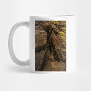 Volcanic rock 4 Mug